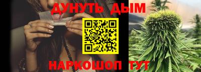 индика Заводоуковск