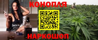 индика Заводоуковск