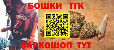 индика Заводоуковск