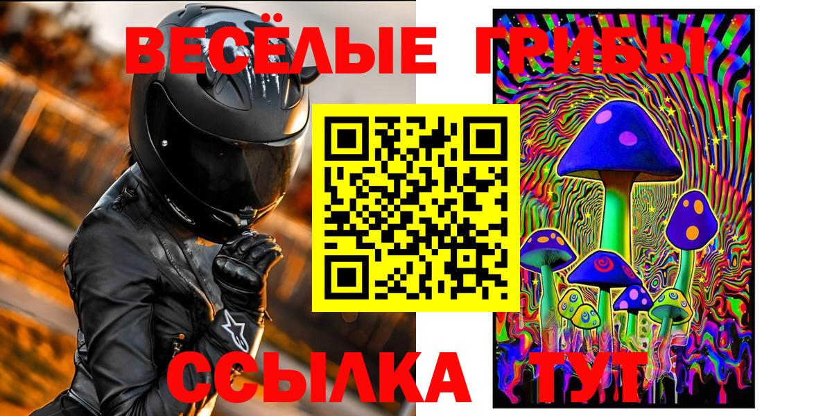 Кунгур  Галлюциногенные грибы Cubensis  Вход с VPN 